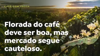 Florada do café deve ser boa, mas mercado segue cauteloso.