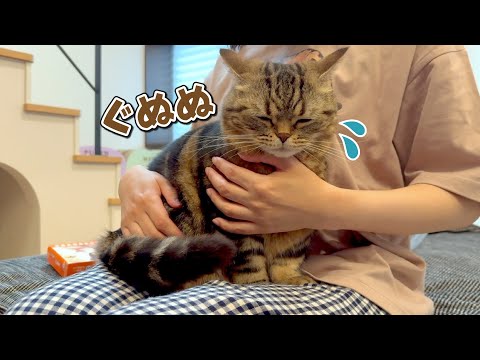 猫の動画サムネイル - 大嫌いな薬のにおいに思わず顔が潰れちゃう猫が可愛すぎる！