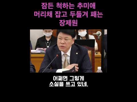 잠든 척 하는 추미애 머리채 잡고 두들겨 패는 장제원