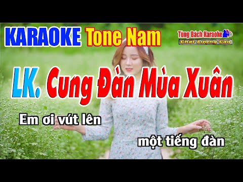 LK Cung Đàn Mùa Xuân Karaoke ( Tone Nam ) Nhạc Sống Tùng Bách