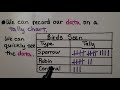 Exploring Tally Charts and Data Collection