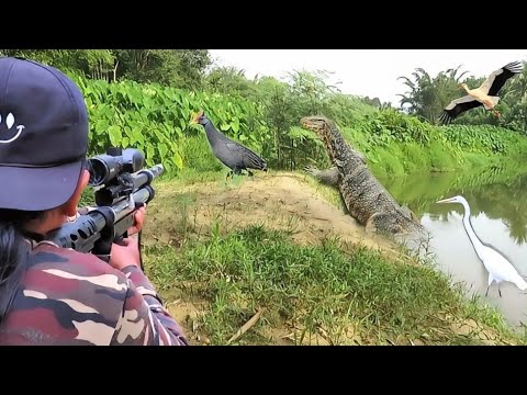 BERBURU 4 EKOR BIAWAK JUMBO DAN 2 EKOR BANGAU PEMAKAN IKAN DAN KAMBING WARGA SAMPAI TENGAH MALAM