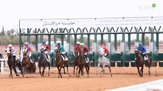 Festival Sheikh Mansoor Bin Zayed : Le Pur-sang Arabe à l’honneur à l’hippodrome de Marrakech