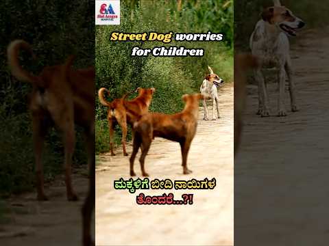Preparing your Child for Dog encounter & What if Dog bites? #kannada #dog #doglover #dogfear #rabies