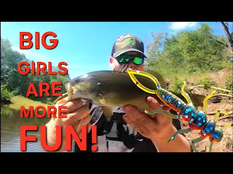 Amazing New Lure!!