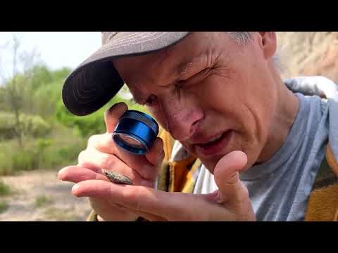 YouTube video thumbnail: Prehistoric Paradise Hiding Just Outside Chicago