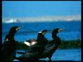 Understanding Estuaries and Their Importance