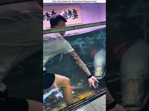 This Aquarium Gave Me a 10,000V Shock!? ⚡️😳 #shortsvideo