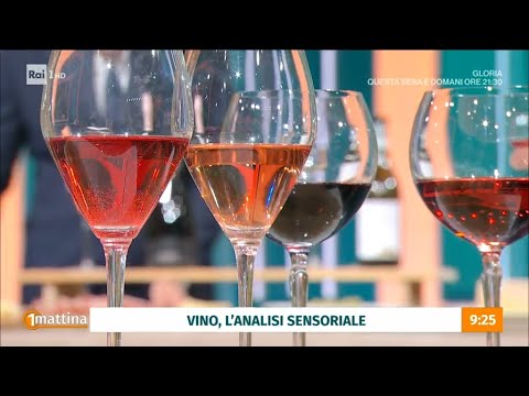 Il vino ed i suoi mille gusti e colori - Unomattina - 26/02/2024