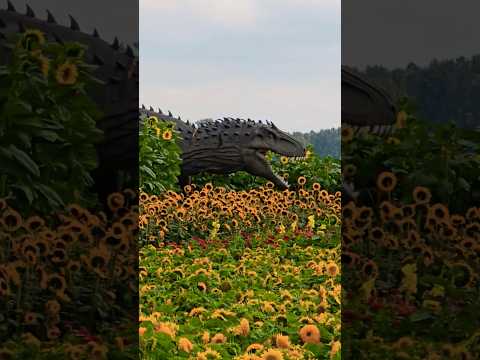 T-Rex in a flower field #dinosaur #trex #tyrannosaurus #canada #britishcolumbia #flowers