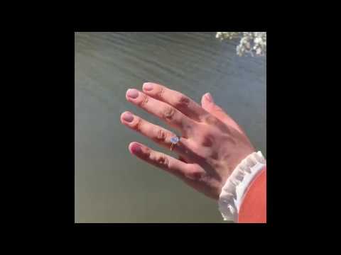 NYC Proposal Series: Central Park Bow Bridge