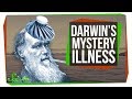 Mitochondrial Diseases and Darwin's Health