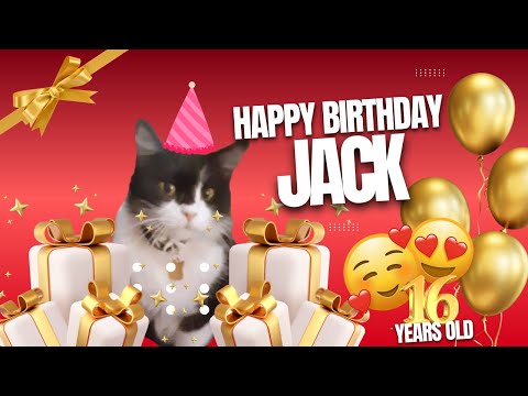 Happy 16th Birthday to My Cat Jack 🎉 | Stroke & Brain Tumor Survivor’s Daily Life