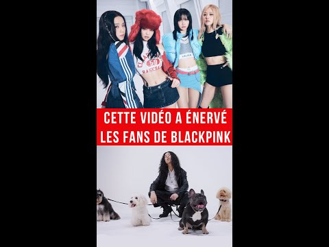 Vidéo CETTE VIDÉO ÉNÈRVE LES FANS DE BLACKPINK