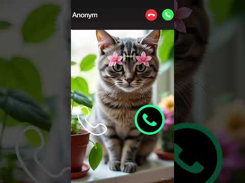 Cat Calling 😮#ringtone #cat #gato #babygirl #youtubeshorts #catlovers #viralvideo #mi #shorts