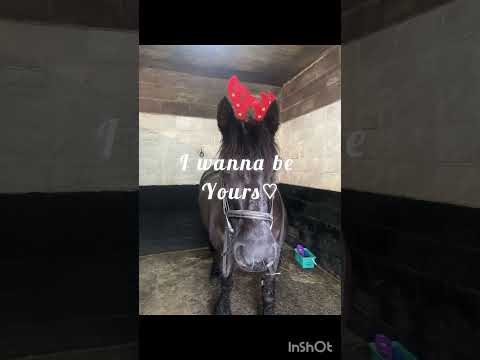 I just wanna be yours