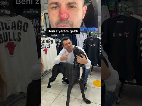 Para veya mama Sizden hiç istemedim  Sizden sadece onları sevmeniz istiyorum￼ ￼