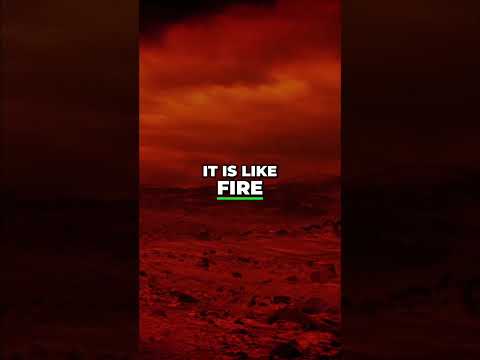 Desert Survival: Divine Guidance Through The Wilderness #shorts