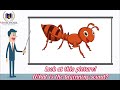 Identifying Initial Sounds in Words