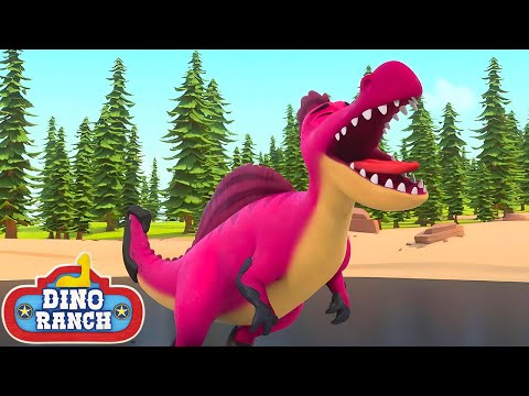 ¡Pies de Trueno está atascado! | Dino Ranch Español