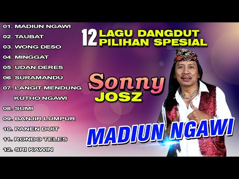 12 Lagu Dangdut Pilihan Spesial Sonny Josz | Madiun Ngawi | Taubat | Wong Deso