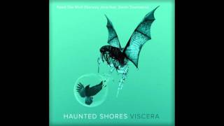 Haunted Shores Chords