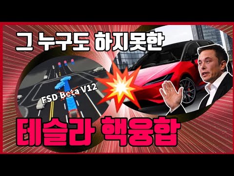 값싼 테슬라와 인공지능 FSD의 핵융합.. 테슬라가 점점 더 무서워지는 이유