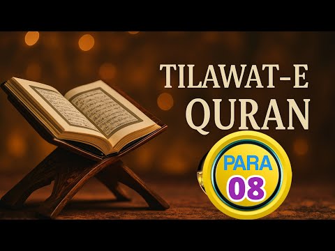 Juzz 08 Full | Tilawat with Arabic Text | Beautiful Recitation #tilawat #urdutarjuman