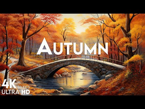 4K Autumn &nbsp;Forest Relaxation Film &#127809; Peaceful Relaxing Piano Music - Autumn Landscape