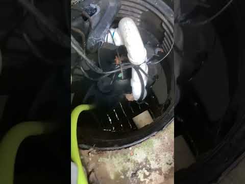 Jobs with Kai:⚙️Sump Pump System Check-Up