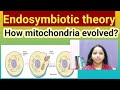 Mitochondria and Earth's Atmosphere Changes