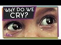Understanding Emotions and Crying