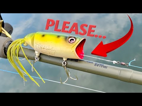 It Needs You to Pull the String. | Lure Review