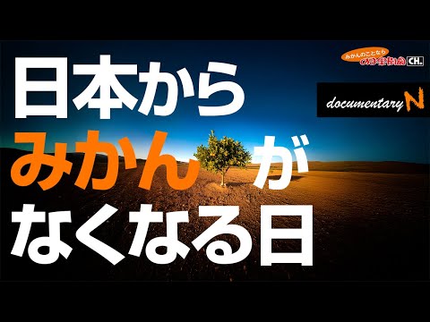 【みかんがなくなる！？】データから読み解くみかんの未来【みかんのことなら「のま果樹園」】