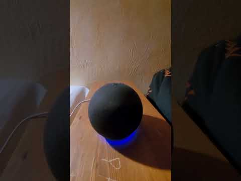 😱😨😵‍💫Alexa:Leck meine...              #funny #shorts #comedy #meme #wtf #smile