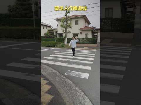 使用人行横道 #日本交通规则 #人行横道 #日本 #短视频 #JAF #shorts