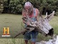Understanding the Driftwood Story