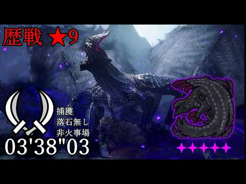 【MHWilds PC】 ★9 歴戰ゴア・マガラ 雙劍 ソロ 0338