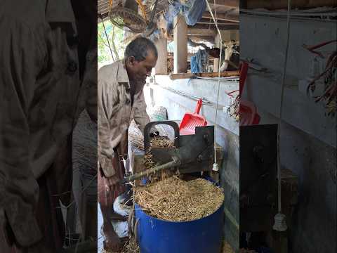 বিচুলি কা'টার নতুন পদ্ধতি