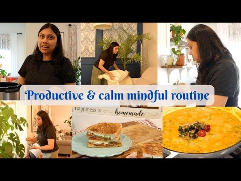 Productive Morning to Afternoon Vlog - Slow and mindful living - Special Daal