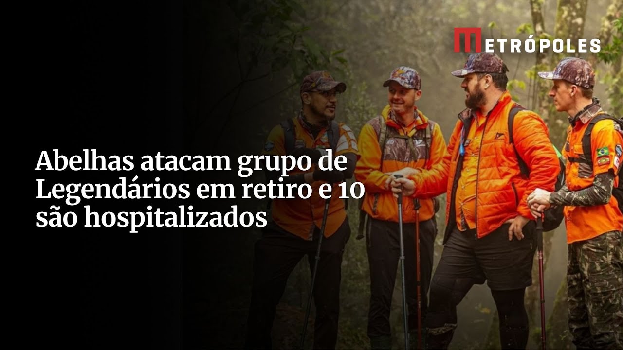 Abelhas atacam grupo de Legendários em retiro e 10 são hospitalizados