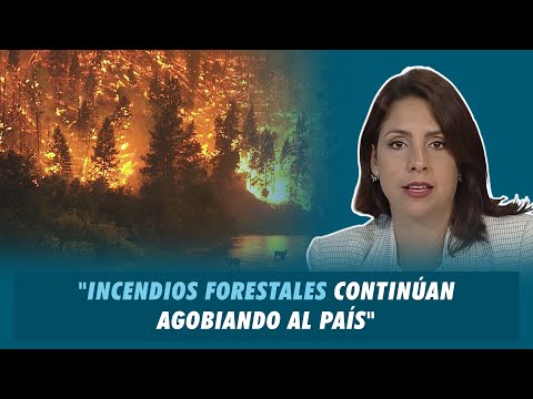 Laura Castellanos "Incendios forestales continúan agobiando al país" | Matinal