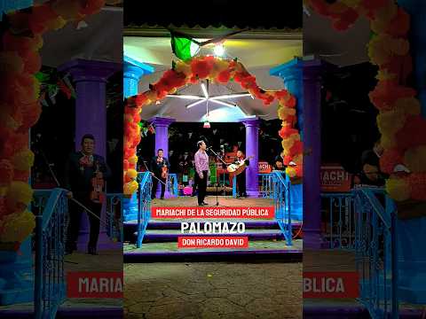 #mariachi #mexico #music #shortsmusic #musicaregional #mariachis #mariachienvivo #tradiciones