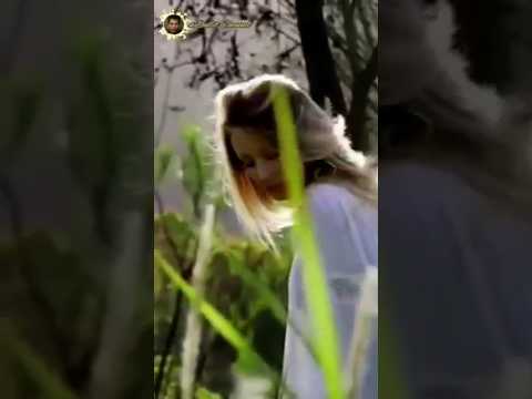 TURUNNYA SANG BIDADARI #shorts #videoshorts #videoviral #musik #ndullitchannel