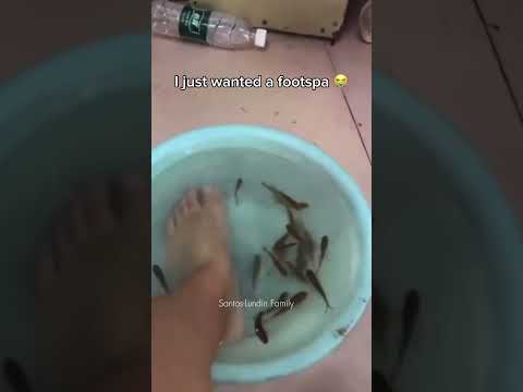 I feel so insulted 😭😭😭 #comedy #funny #relatable #couple