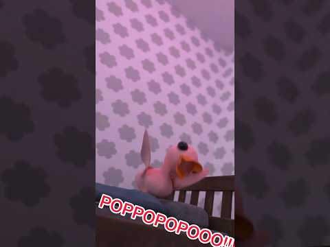 Mamma papera impazzisce per Lโamour toujours