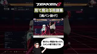 【鉄拳8】見て覚える用語集【両パン投げ】