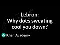 Understanding Sweating and Evaporation