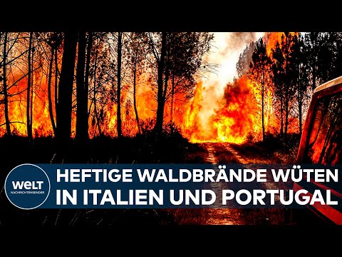 SÜDEUROPA: Heftiges Feuerinferno! In Italien und Portugal toben vor zahlreiche Waldbrände