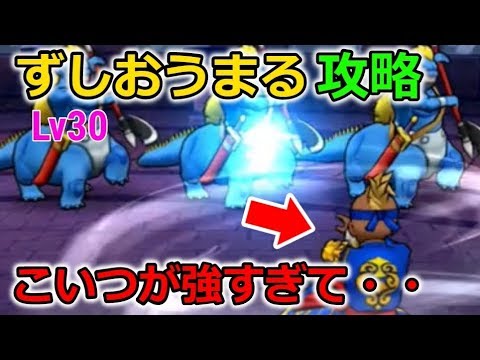 【ドラクエウォーク】Lv30 ずしおうまる攻略！オススメ属性！こいつが強すぎて草